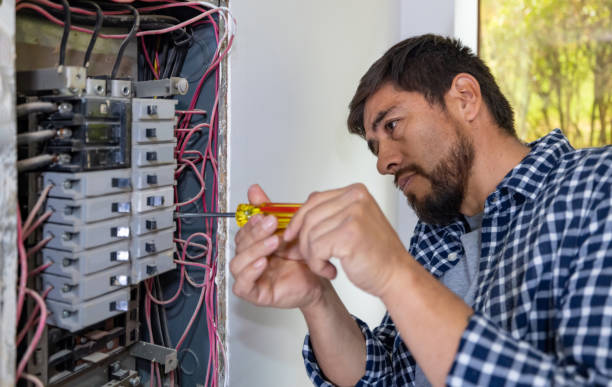 Best Electric Panel Repair  in Pearl River, LA
